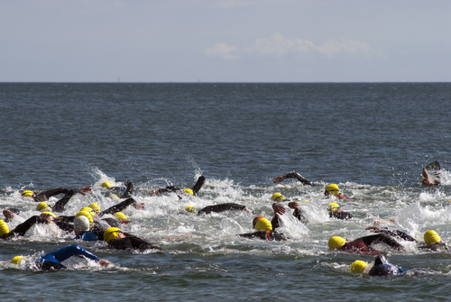 athletes swimming in open water